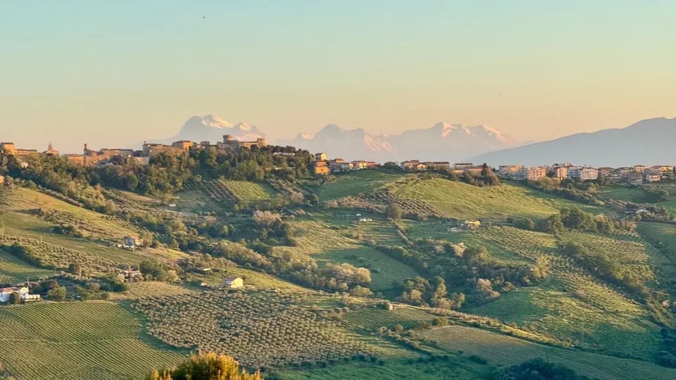Olive groves and a hill town in the Marche, the snowy Apennines beyond.