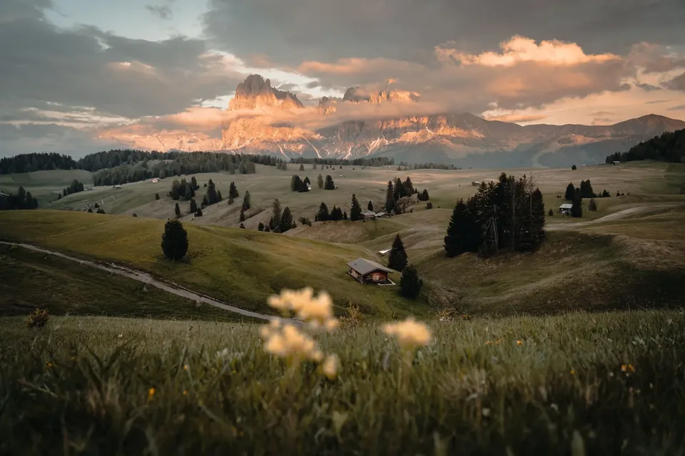 Alpe di Siusi meadows and huts under the Sassolungo.